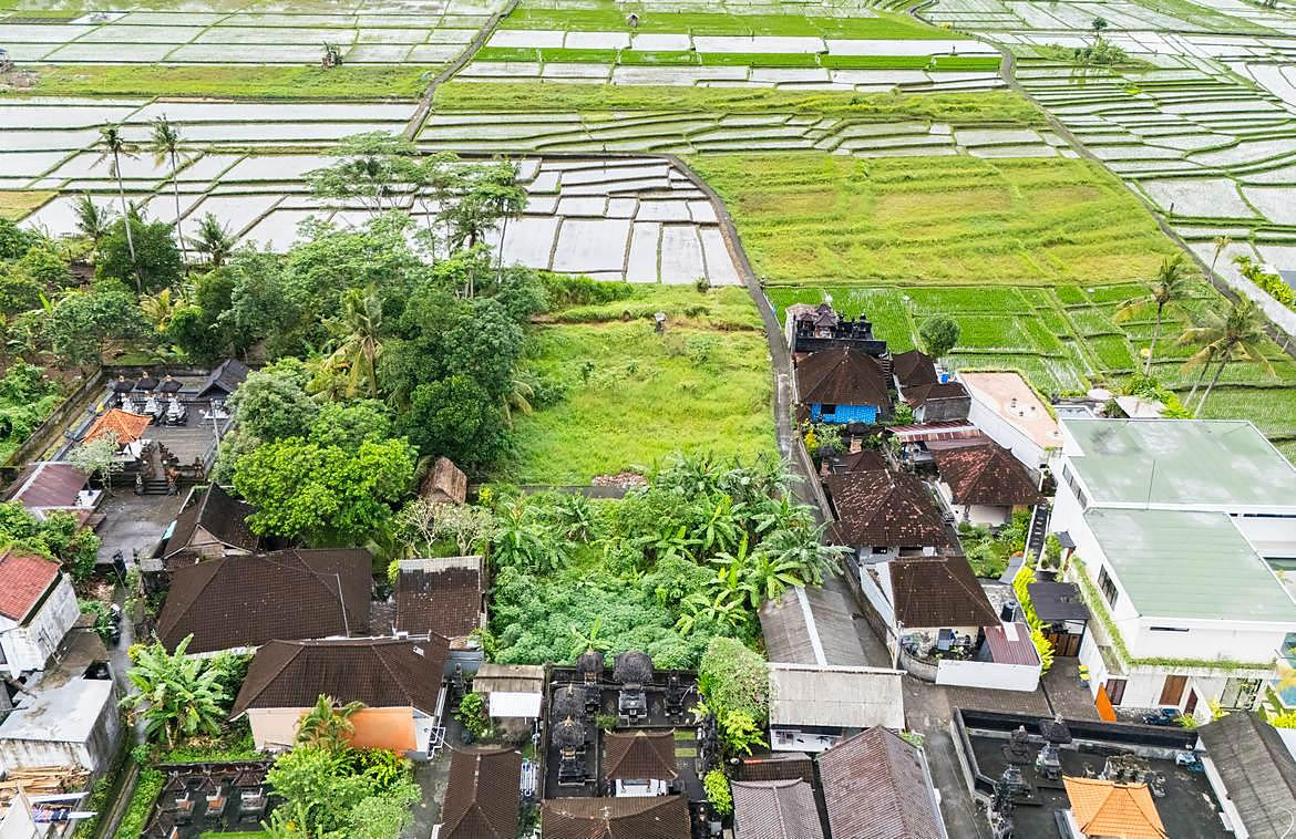 High aerial with rice terraces filling the frame to the north