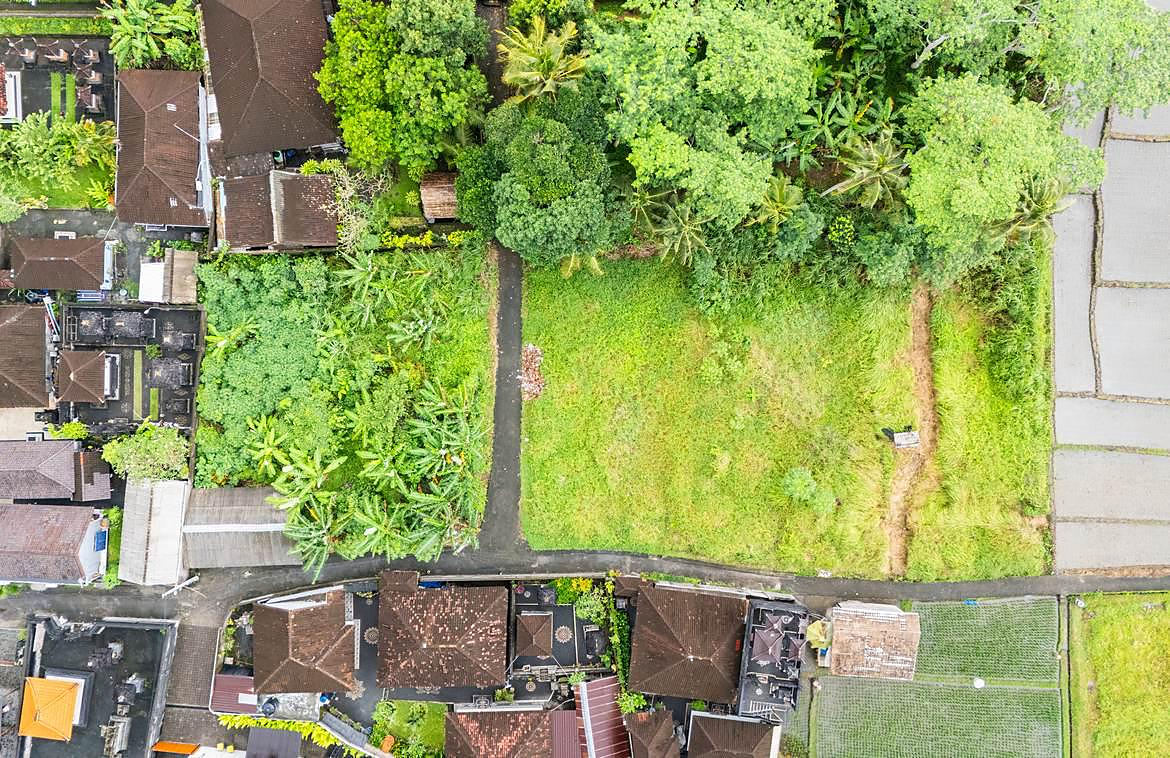 Top-down aerial of the plot and the village road