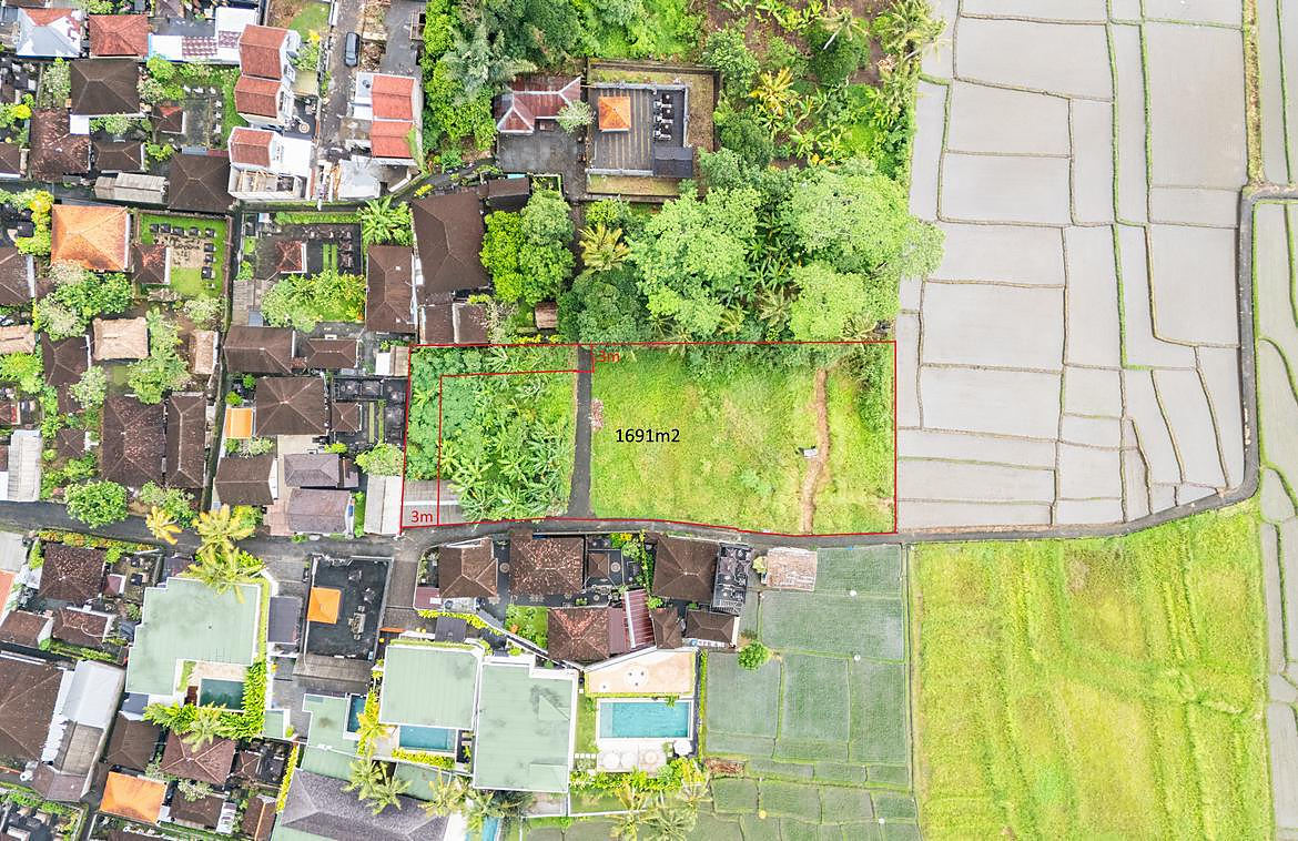 Aerial view with the 1,691 m² boundary marked in red, village road along the southern edge, rice fields to the east